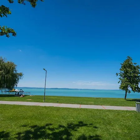 Myflat Wave Luxury 44 *